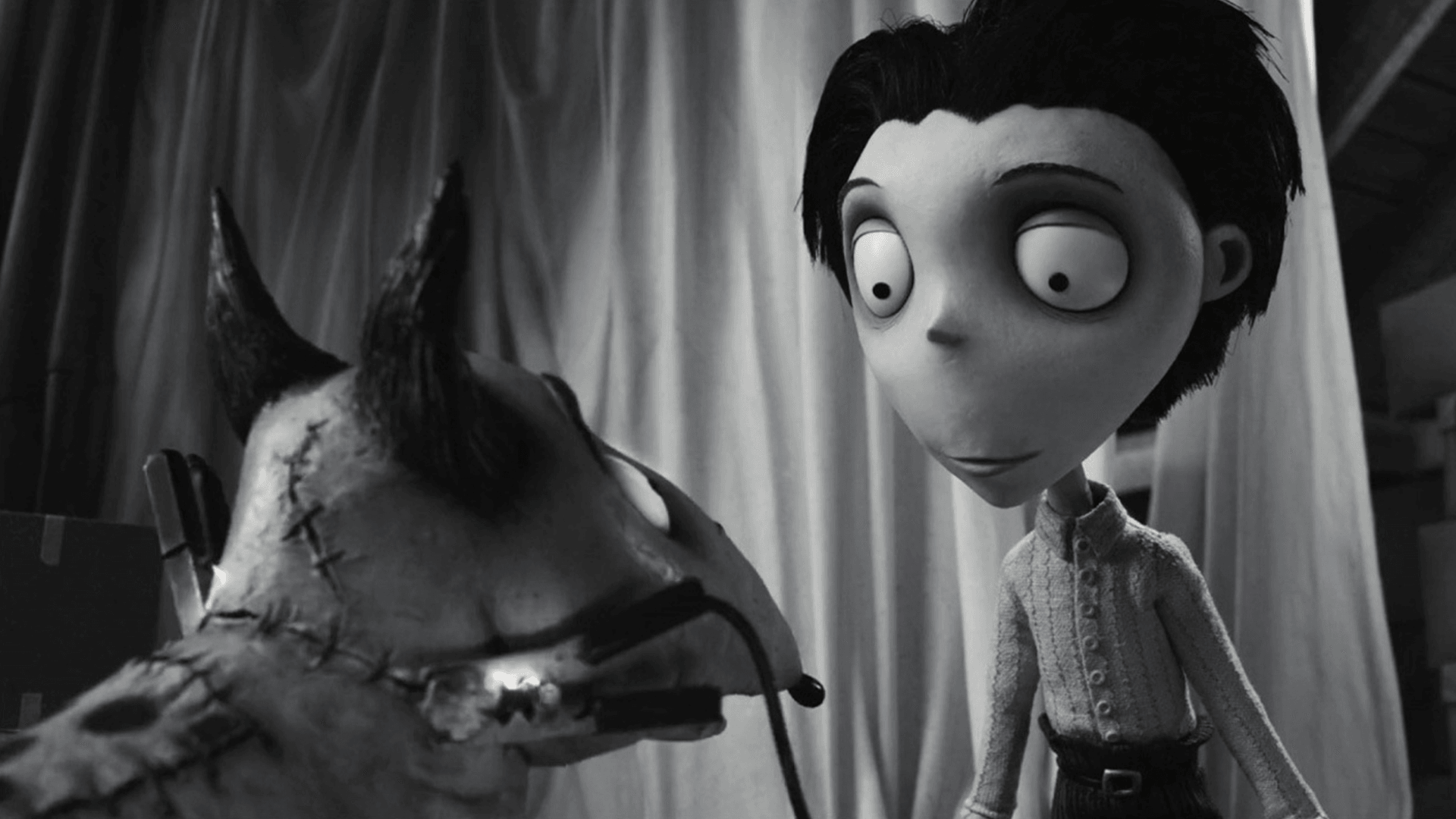 Frankenweenie in 35mm