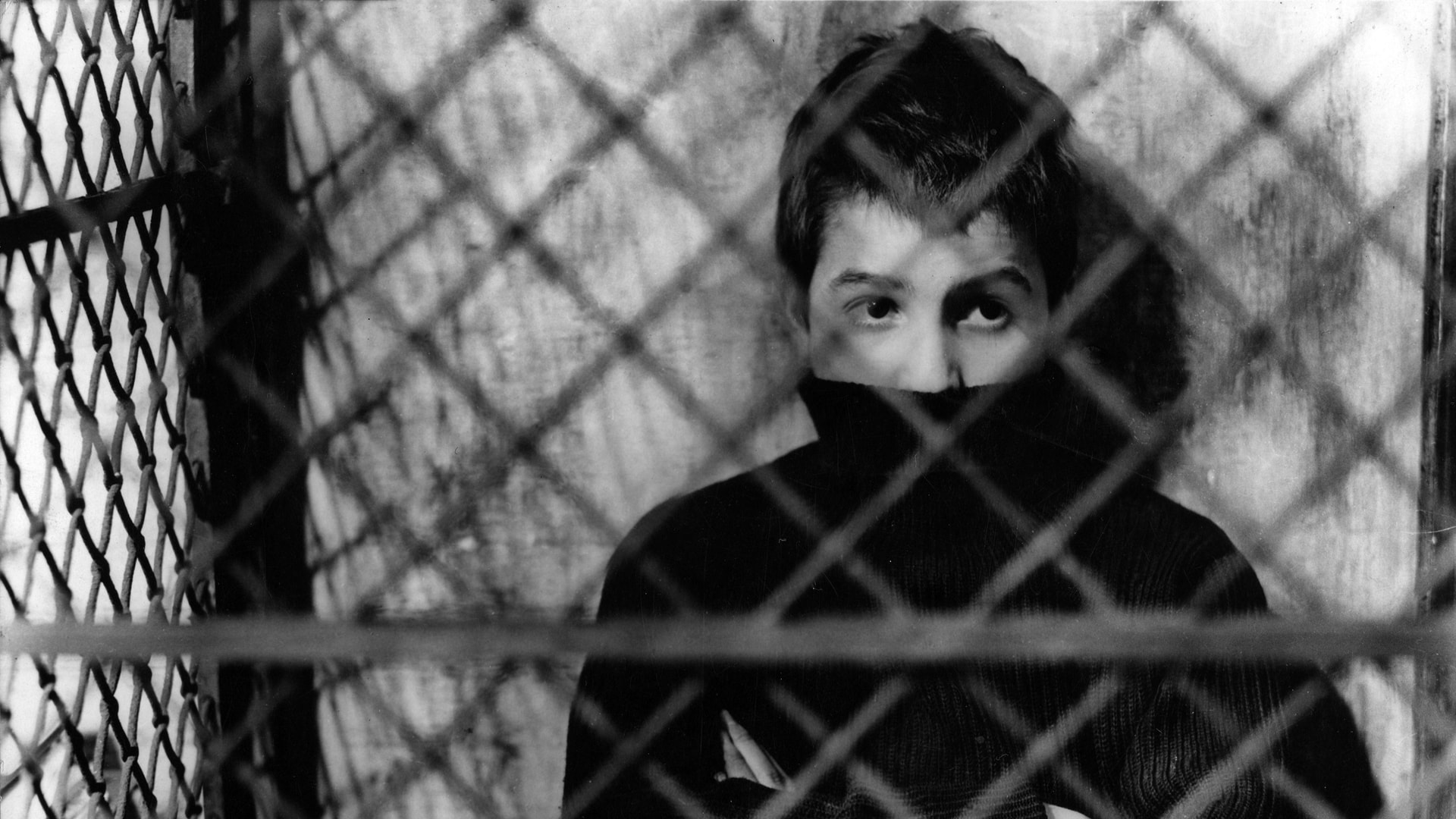 The 400 Blows in 4K