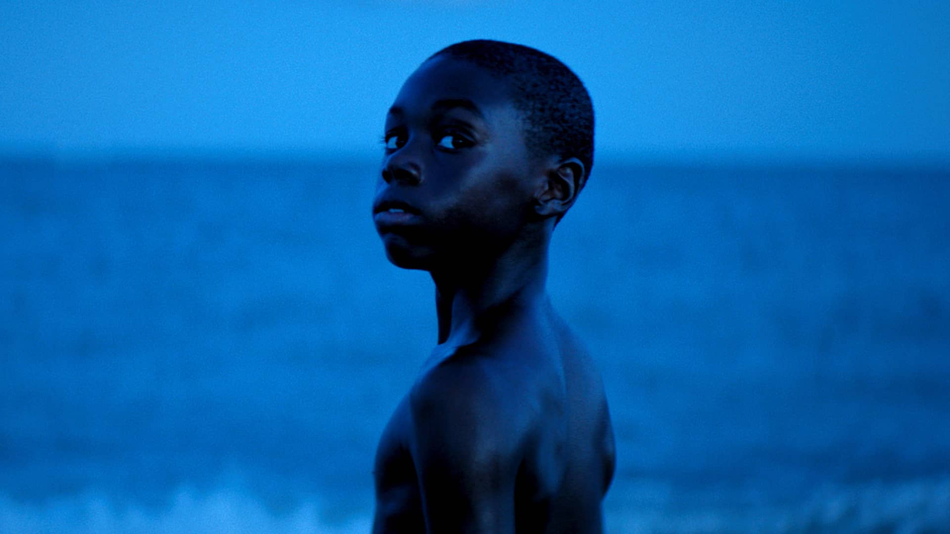MOONLIGHT (USA, 2016)